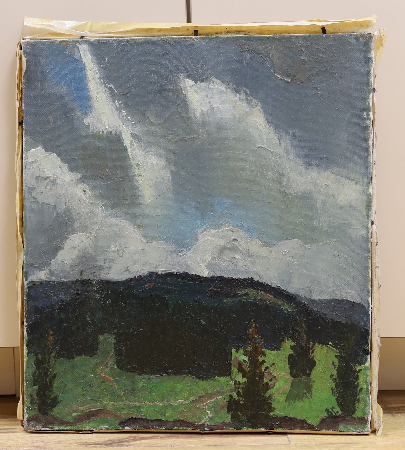 Vasily Ivanovich Gurin (1939-), oil on canvas, Landscape, inscribed verso, 45 x 40cm, unframed